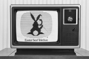 TV with telethon logo